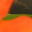 Orange blomma